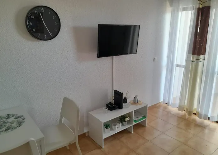 Maria Do Ceu Magna *